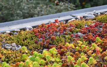 the cost of Rokemarsh green roof installation