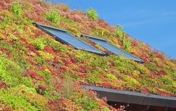 Rokemarsh living roof systems