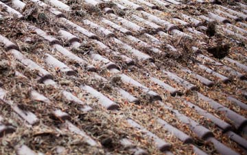 Rokemarsh roof cleaning companies